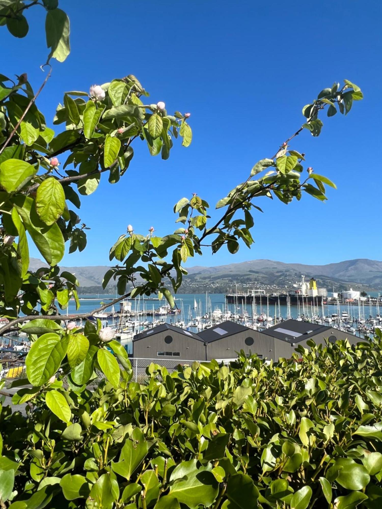 Sea Views In Luxury At Lyttelton Boatique House - 14 Km From Christchurch Kültér fotó
